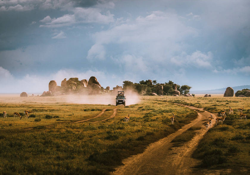 2 Days & 1 Night From Zanzibar to Mikumi National Park.