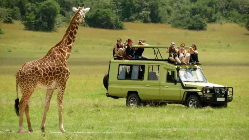 3 Days & 2 Nights Private Safari