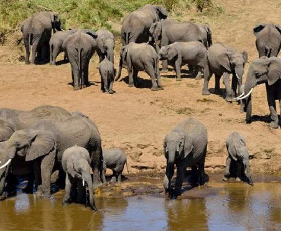 Day Trip Tarangire National Park
