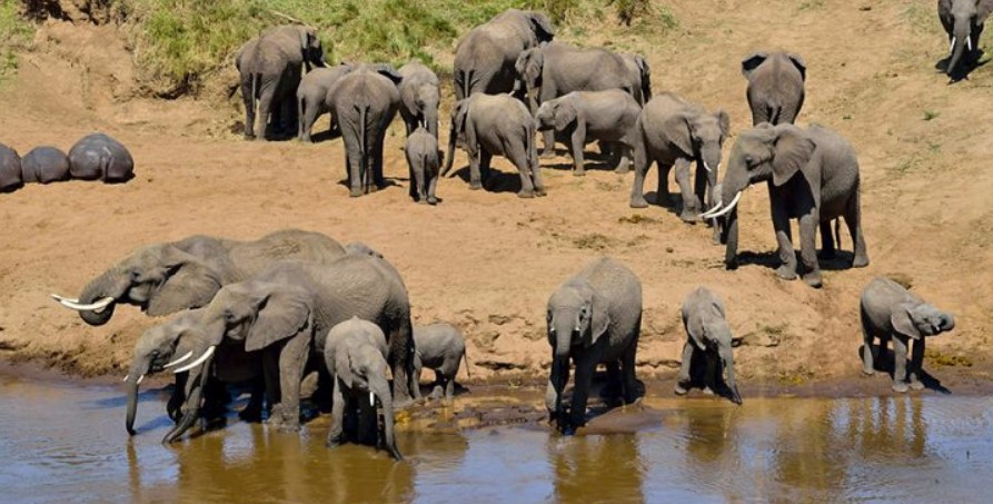 Day Trip Tarangire National Park