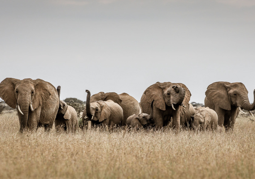Day Trip Tarangire National Park