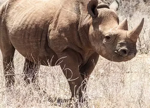 Ngorongoro Highlands