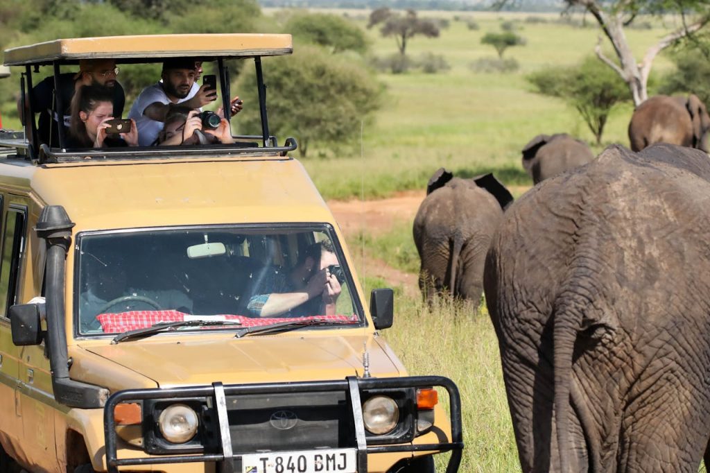 brown-and-black-jeep-wrangler-10740862 Tourists in a safari vehicle observe and photograph elephants during an African safari.