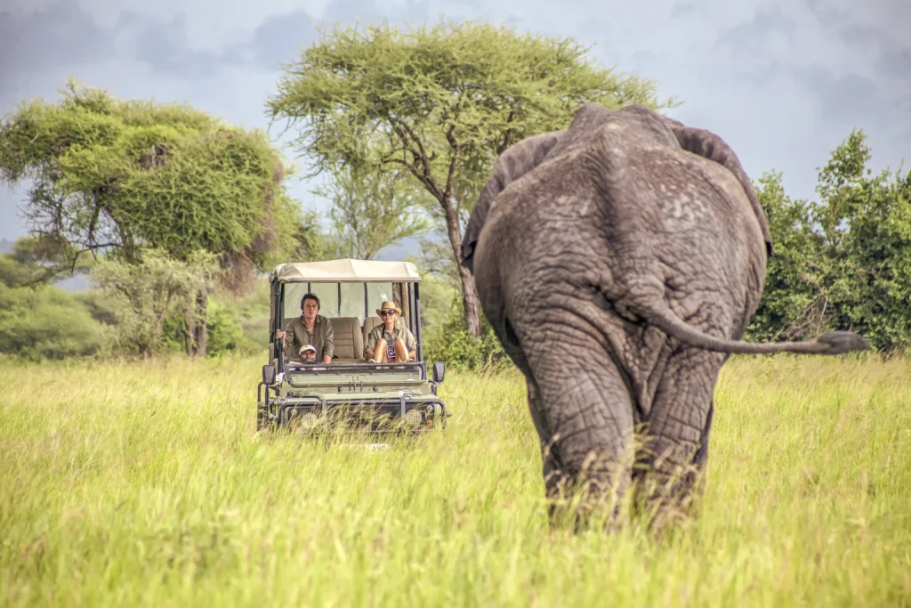 Adhama Adventures-chem-chem-lodge-RAW-1536x1024 Adhama Adventures fly in safaris