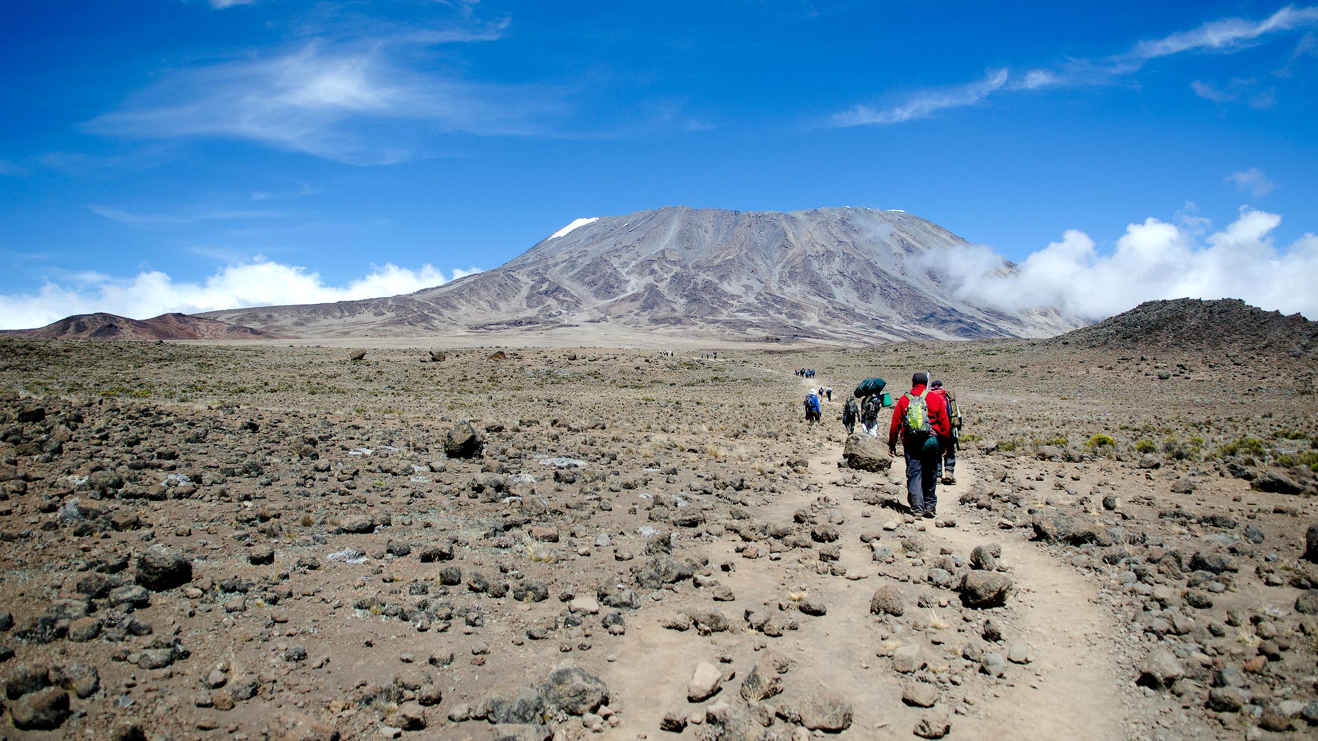 AdhamaAdventures-kilimanjaro-safari