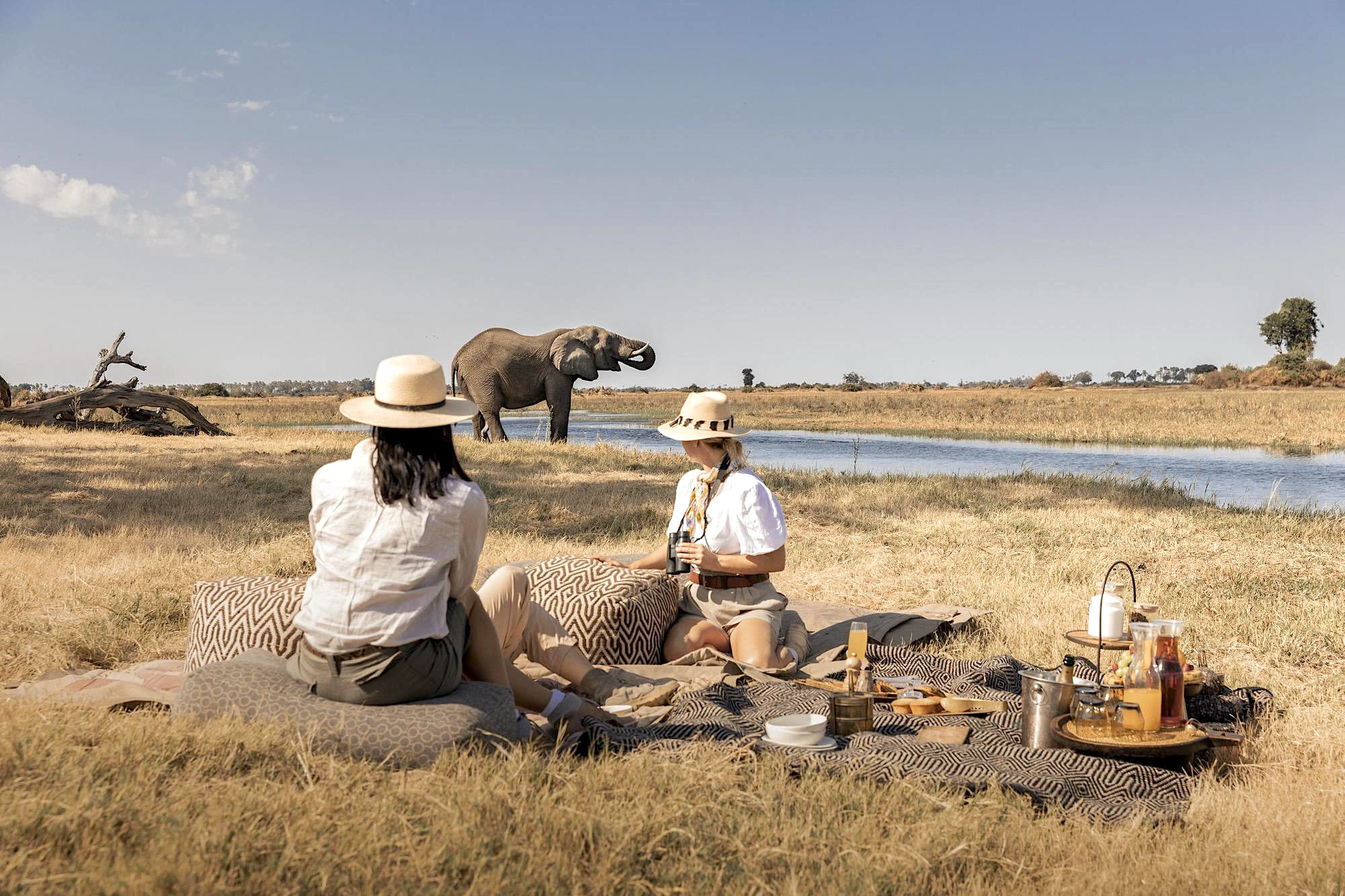Luxury Safaris