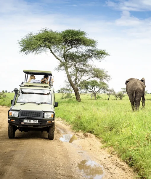 The Wild Side 7 Days Safari