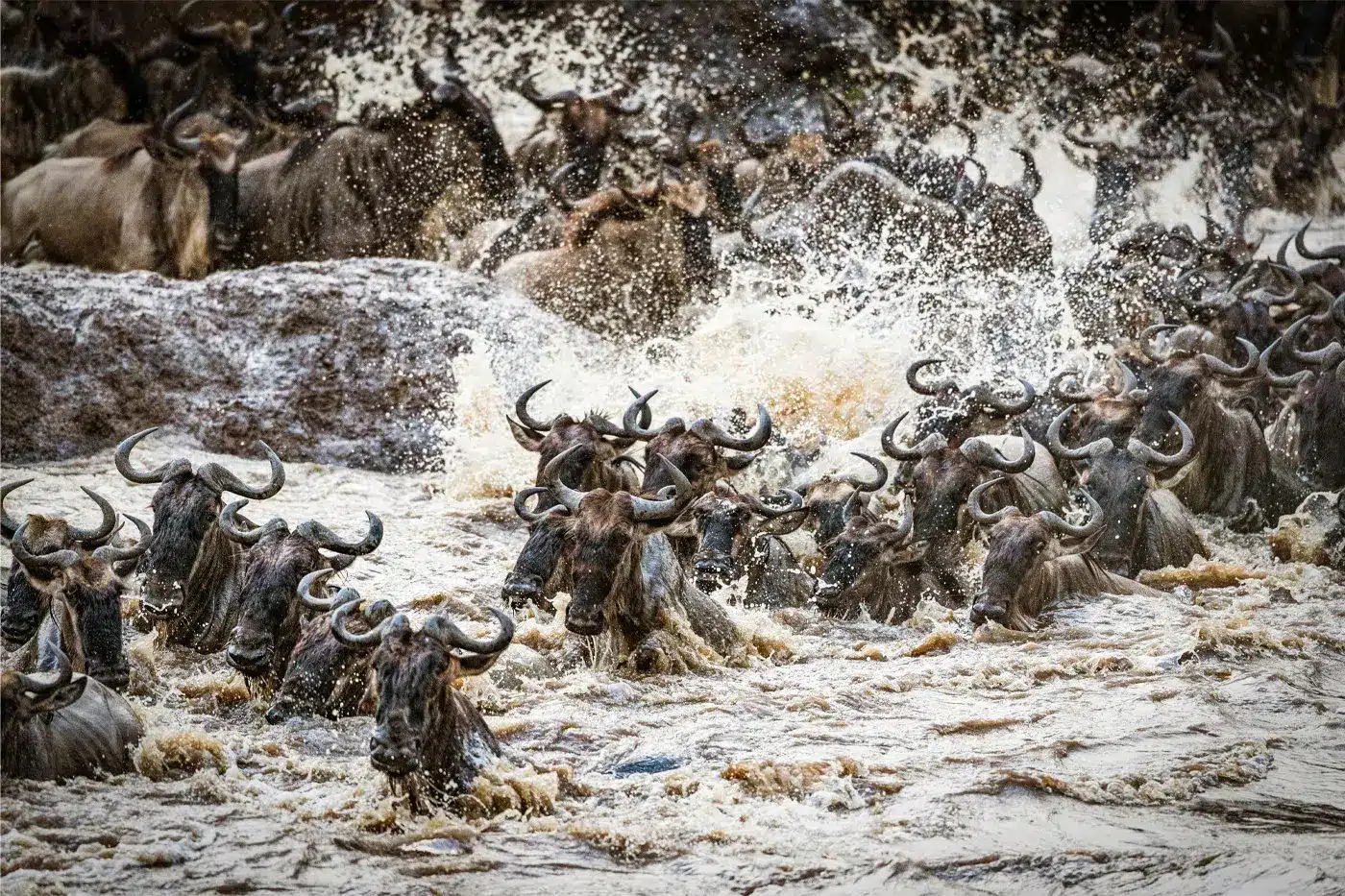 Serengeti Plains 