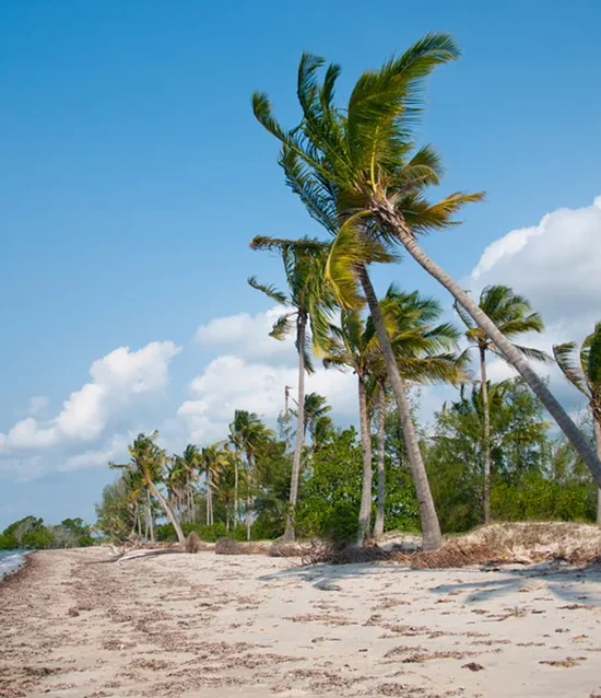 3 Days Zanzibar Beach Holiday