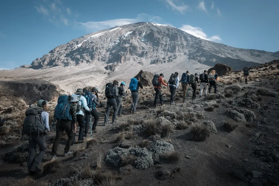 Trekking