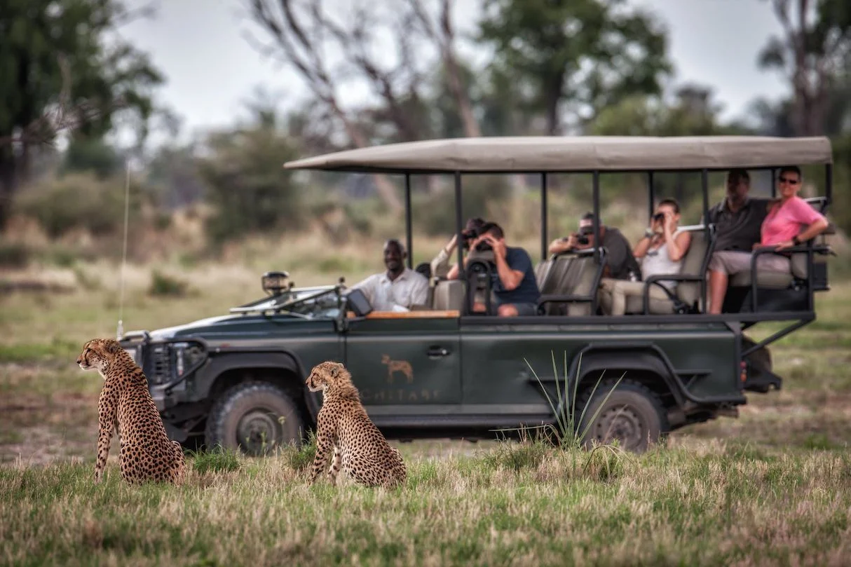 Mobile Explorer Safaris