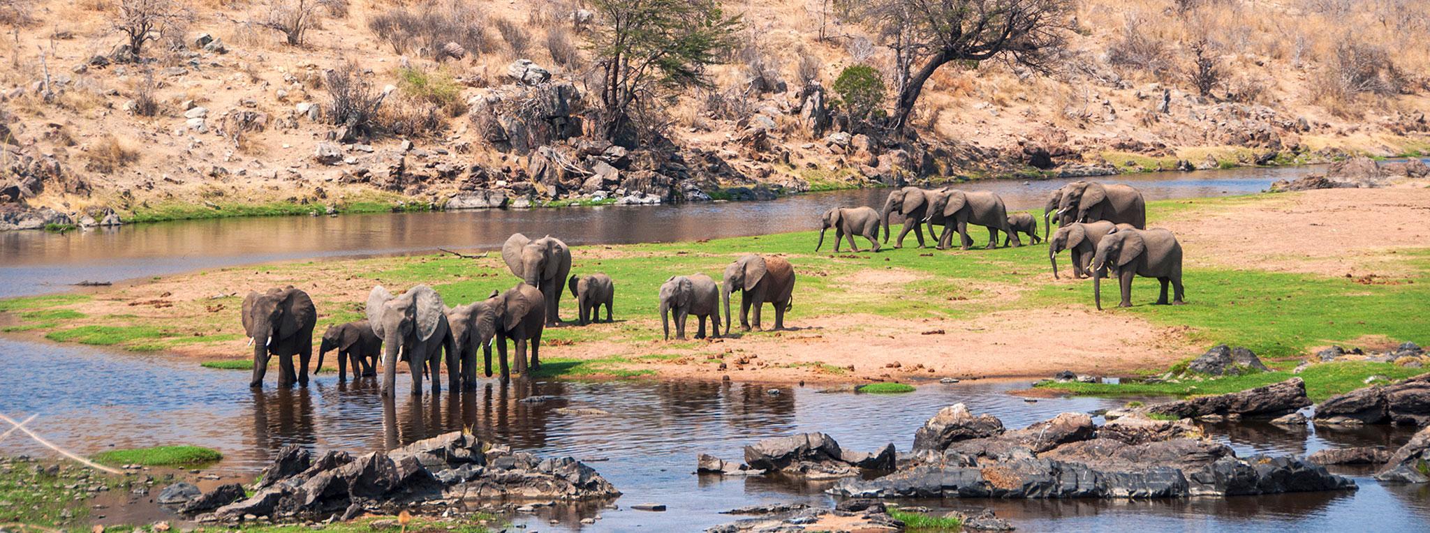 Remote African wilderness and dry-season safari landscape
