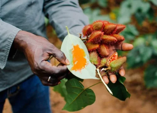 Zanzibar’s Spice Farmers: The Untold Story Behind the Islands’ Heritage (By Mama Rose N.)