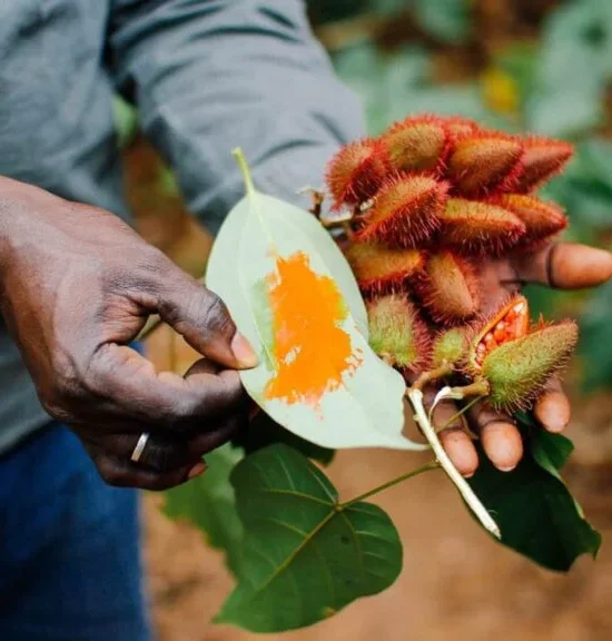Zanzibar’s Spice Farmers: The Untold Story Behind the Islands’ Heritage (By Mama Rose N.)