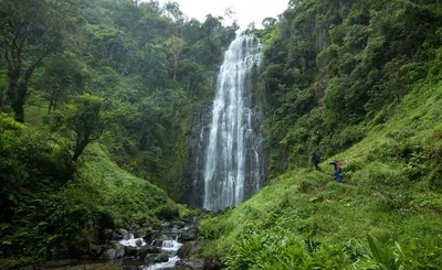 8-Day Incredible Safari + Waterfall Hike & Cultural Immersion