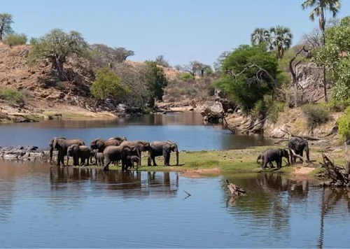 Ruaha & Southern Highlands