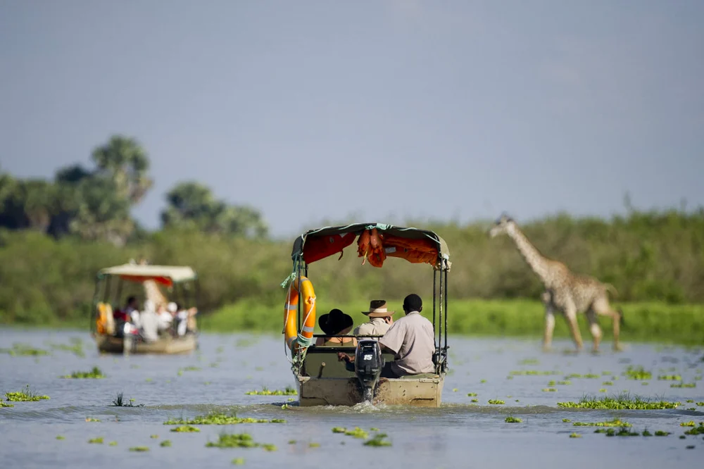 Wide open landscape and natural scenery in Tanzania