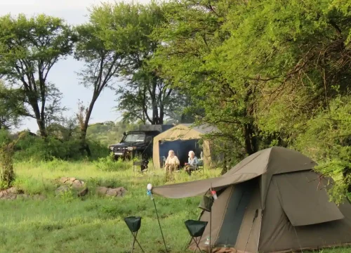 The Wild Side – 7 Day Camping Safari