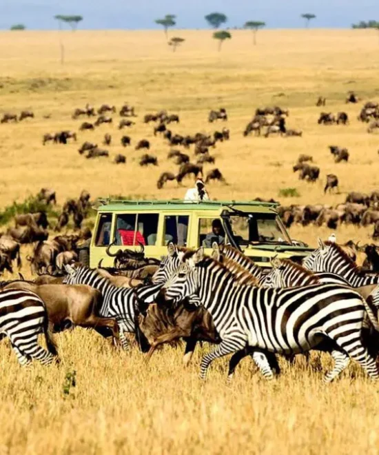 The Serengeti Beyond the Safari: Wildlife Conservation Through the Community Lens” (By Dr. Ndugu S.)