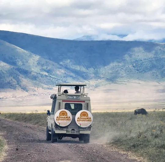 Wildlife safari in Tanzania