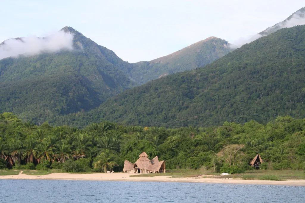 Forest-covered mountain scenery
